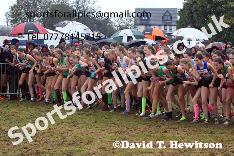 Girls Under-15s 2023 National Cross Country Relays, Berry Hill Park, Mansfield.  Photo: David T. Hewitson/Sports for All Pics